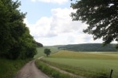 Forêt des Dhuits